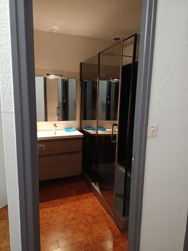une salle de bain avec un lavabo et une douche avec miroirs dans l'établissement appartement de village 2nd étage, à Malaucène