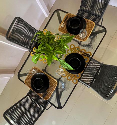 a glass table with two wine glasses and a plant at NANAS House in Tigre