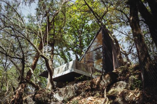 a glass house in the woods on a hill at Grasshopper Cabañas in Cuautla Morelos