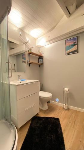 une salle de bain avec toilettes et lavabo dans l'établissement Chez Juliette countryside and sea near Pornic, à Chauvé