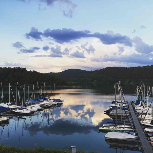 a bunch of boats are docked in a harbor at #8 Ommi Kese See-Suite FD Sauna Hund Terrasse in Olpe