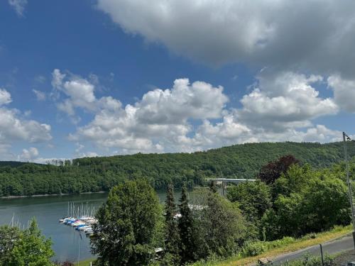a view of a river with boats in the water at #8 Ommi Kese See-Suite FD Sauna Hund Terrasse in Olpe