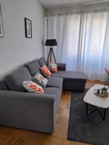 un salon avec un canapé gris et une table dans l'établissement Logement central proche gare, à Strasbourg