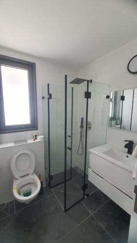 a bathroom with a shower and a toilet and a sink at דירת נופש באכזיב על הים in Nahariyya