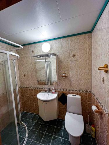 a bathroom with a toilet and a sink at Sognefjorden-Vik i Sogn in Brekka