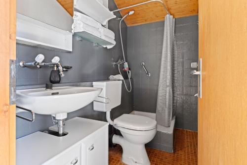 ein Badezimmer mit einem weißen WC und einem Waschbecken in der Unterkunft Superbe studio avec une vue magnifique in Leytron