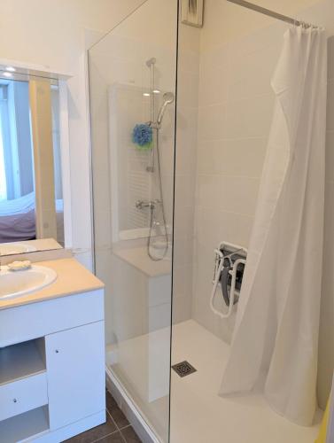 une salle de bain avec douche et lavabo dans l'établissement Lumineux appartement centre ville avec parking et loggia, à Bordeaux