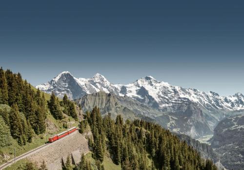a train on the tracks with mountains in the background at Parkhotel Schoenegg in Grindelwald