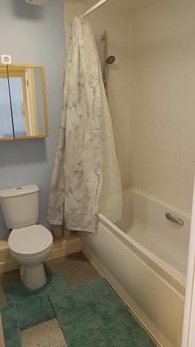 a bathroom with a toilet and a tub and a sink at Spacious Cheltenham Flat with Free Allocated Parking in Cheltenham
