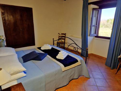 a bedroom with a bed with blue sheets and a window at Agriturismo il Pino - Bioagricoltura in Monticello