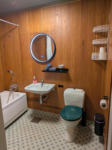 a bathroom with a toilet and a sink and a mirror at Three bedroom home with an amazing mountain view! in Oppdal
