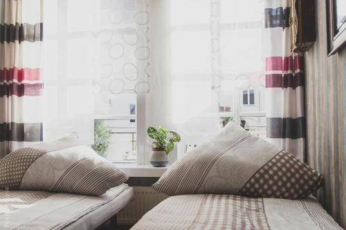 a bedroom with a bed and a window with a plant at 3-Zimmer Wohnung mit Terasse im Herzen Bambergs in Bamberg