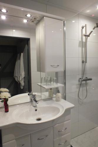 a white bathroom with a sink and a shower at Bed en Breakfast De Boksloot in Ravenswoud