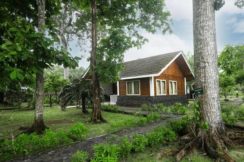 a small house in the middle of trees at Plengkung Lodge G-Land in Ringinpintu