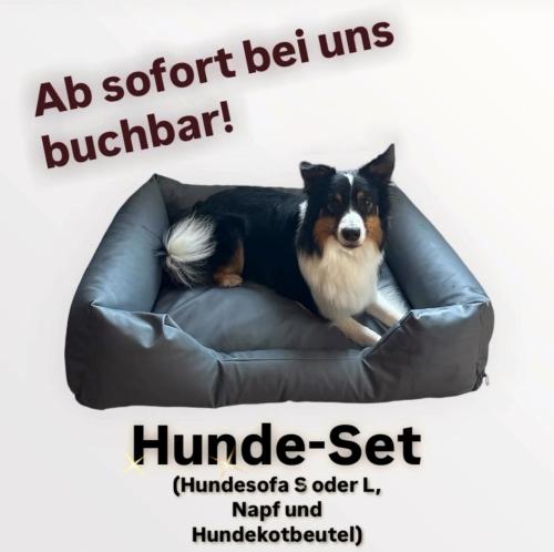 a dog sitting on top of a leather couch at MeerRuhe in Burgtiefe auf Fehmarn 