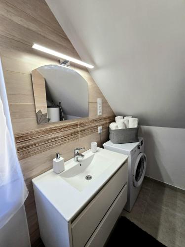 a bathroom with a sink and a washing machine at LULU Apartman in Sopron