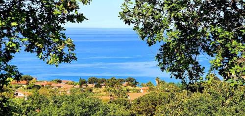 a view of the ocean from between two trees at Agriturismo Le Ville con Piscina idromassaggio, Capo Vaticano in Ricadi