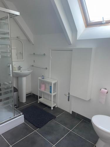 a bathroom with a shower and a sink and a toilet at Maison Coco Quiberville sur Mer- Seaside Golfers villa - near Golf de Dieppe in Quiberville