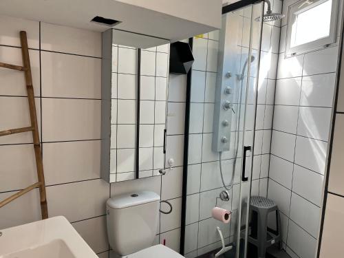 une salle de bain avec toilettes, lavabo et miroir dans l'établissement Charmant T1 à Antibes, à Antibes