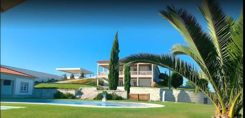 a house with a palm tree and a swimming pool at Hotel Cotto do Gatto in Ponte da Barca