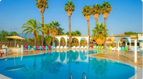 une grande piscine avec palmiers et chaises dans l'établissement Cozy Cocon, à Argelès-sur-Mer