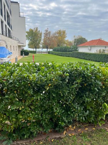 Royal Apartman am See