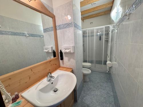 a bathroom with a sink and a toilet and a mirror at Hotel Europa in San Martino di Castrozza