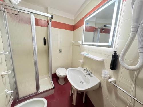 a bathroom with a sink and a shower and a toilet at Hotel Europa in San Martino di Castrozza