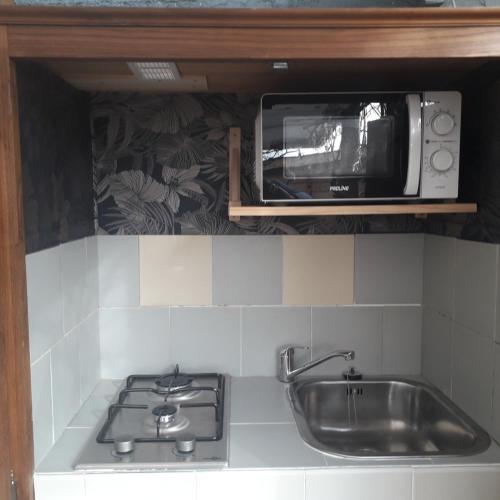 une cuisine avec un évier et un micro-ondes dans l'établissement La cabane de Suzanne, à Paimpol