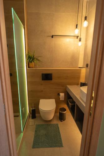 a bathroom with a toilet and a sink at Olive-Luxury apartment in agrinio in Agrinion