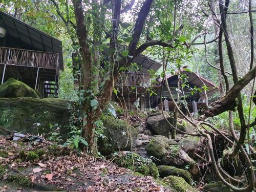 Příroda nedaleko rezortu