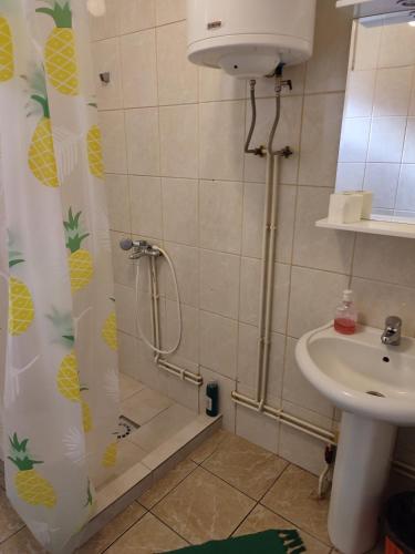 Ένα μπάνιο στο Apartmani Stojičić
