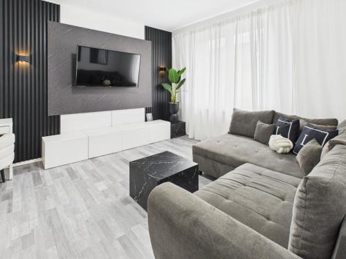 a living room with a couch and a tv at Loft & Living am Geiseltalsee in Braunsbedra