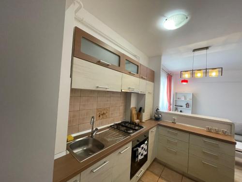 a kitchen with a sink and a stove top oven at Sunny Central Apartments Zamca in Suceava