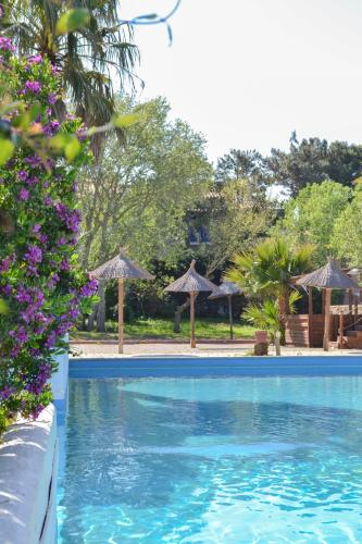 a swimming pool with umbrellas in a resort at Malibu Village in Canet-en-Roussillon