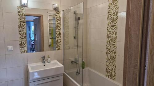 a bathroom with a sink and a shower at Osiedle Morskie in Pogórze