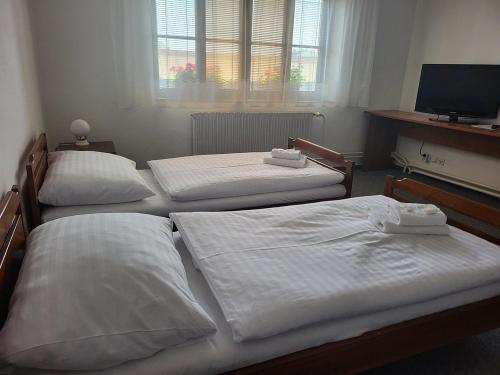 Postel nebo postele na pokoji v ubytování Nobiles hotel Šternberk