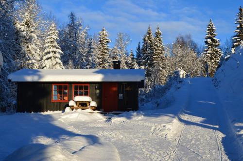 a cabin in a snowy forest with snow covered trees at Trysil Hyttegrend in Trysil