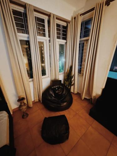 a living room with windows and a black dog bed at Moroccan Moon in Guwahati