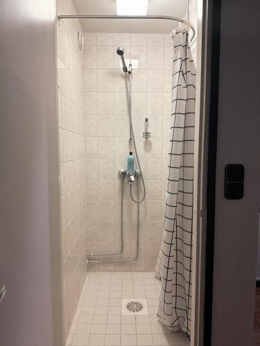 a shower with a shower curtain in a bathroom at Grand Salo Hotel in Salo