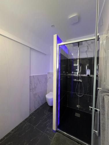 a bathroom with a glass shower and a toilet at Chambre hotes avec vue panoramique sur la foret in Digne-les-Bains