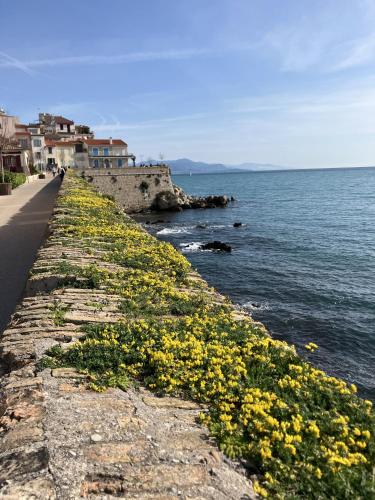 A deux pas des plages et au coeur du vieil Antibes , beau studio rénové