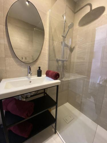 une salle de bain avec un lavabo et un miroir dans l'établissement A deux pas des plages et au coeur du vieil Antibes , beau studio rénové, à Antibes