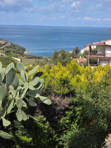 a garden with a view of the ocean at Sevinc Akasya Luxury Villa in Milas