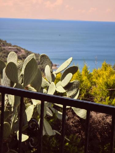 a plant on a balcony with the ocean in the background at Sevinc Akasya Luxury Villa in Milas