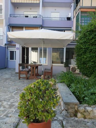 Imagem da galeria de Apartman Luce with shared pool em Zadar