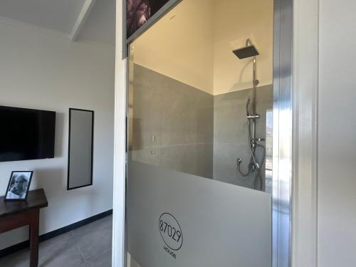 a shower stall in a bathroom with a television at 87029house in Scalea