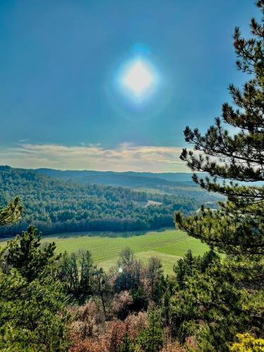 a view from the top of a hill with trees at Chambre hotes avec vue panoramique sur la foret in Digne-les-Bains
