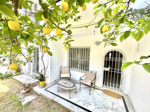a patio with two chairs and an orange tree at Elegant town house in la marsa plage in La Marsa
