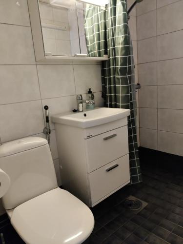 a bathroom with a toilet and a sink and a mirror at Yyterin portti in Pori